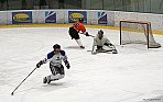 HCKT x HC ALLIANZ PLZEŇ 21.3.2017 - zápas